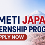 METI Japan Internship